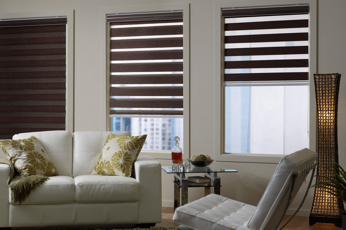 Zebra Blinds - Zebra Shades - Image 2
