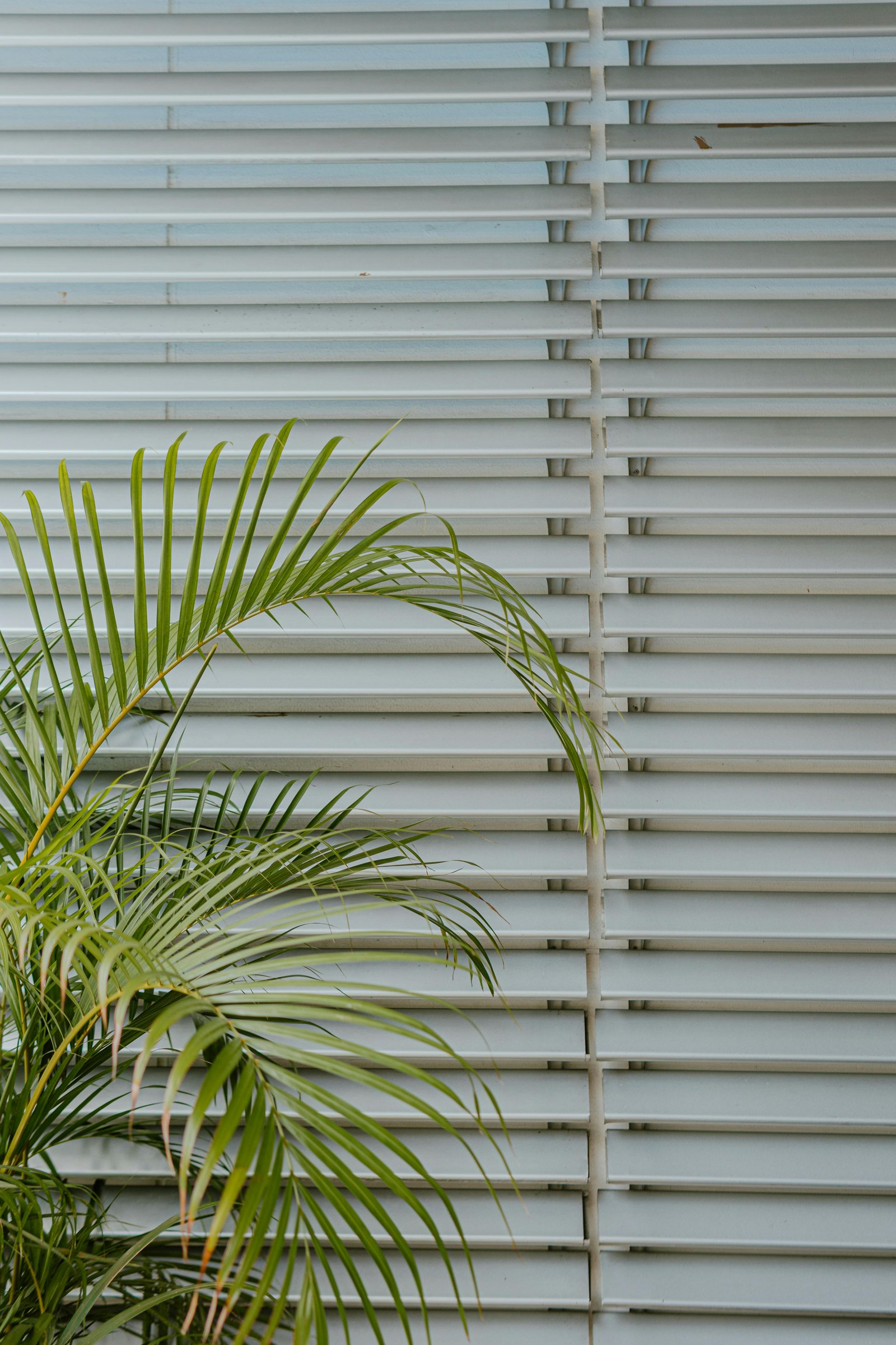 Premium Titanium Aluminum Blinds – Modern Metal Window Shades - Image 5
